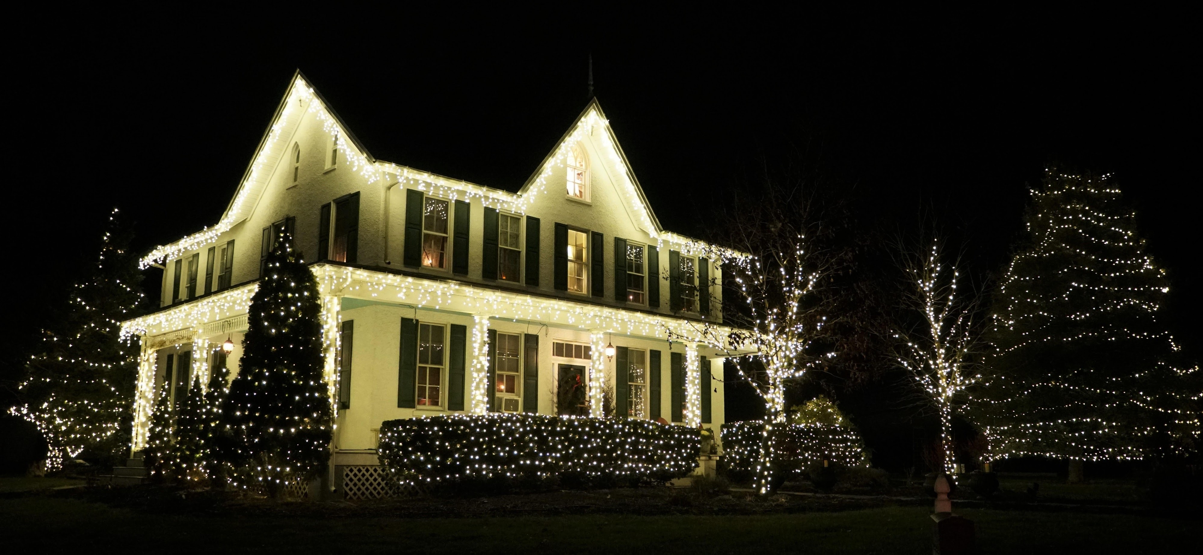Professional Christmas light installation in Osceola County Florida featuring warm white roofline lights and illuminated palm trees - holiday lighting services in St. Cloud, Kissimmee and Poinciana FL